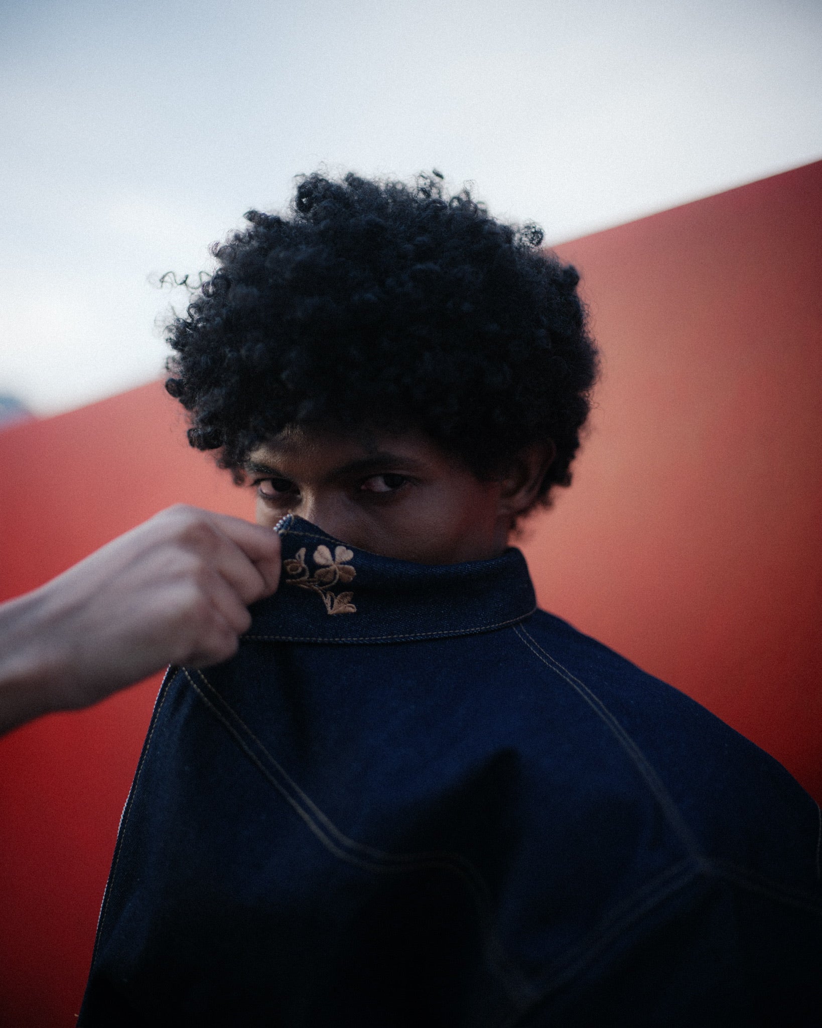 no véx denim jacket collar, embroidered flower